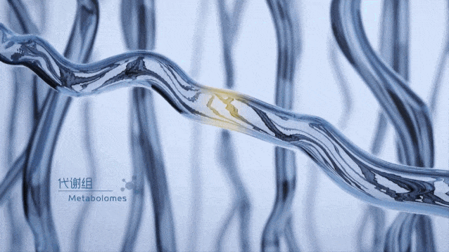 606f03559068a.gif 640 (10).gif